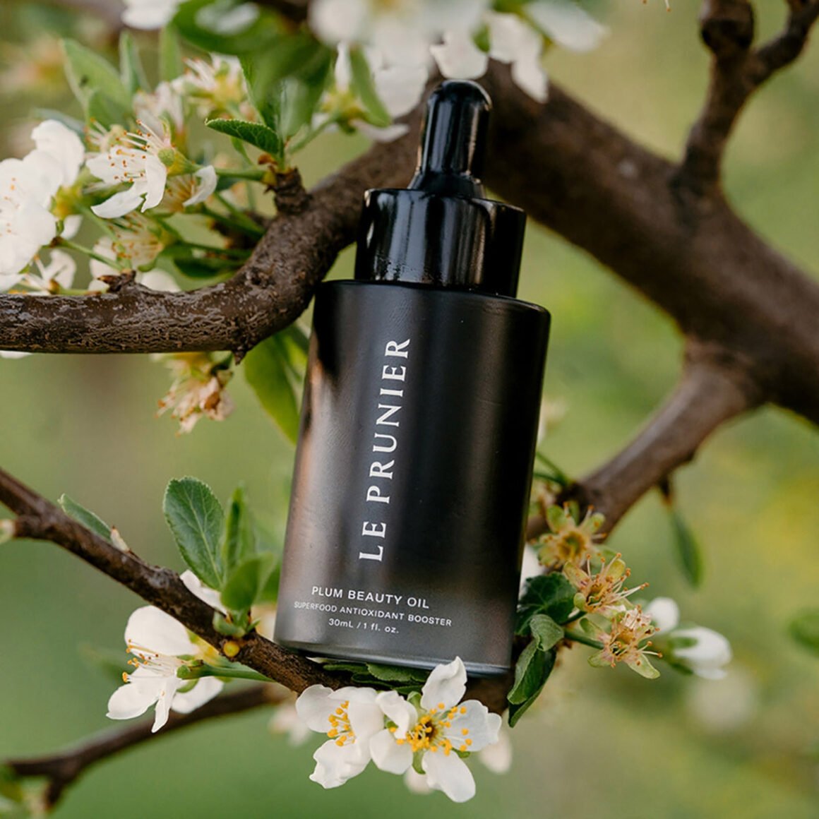 Shop Le Prunier Plum Beauty Oil at Inspire Beauty, take 15% off your first order, use code inspire15. Free shipping over $99 (Canada & USA).