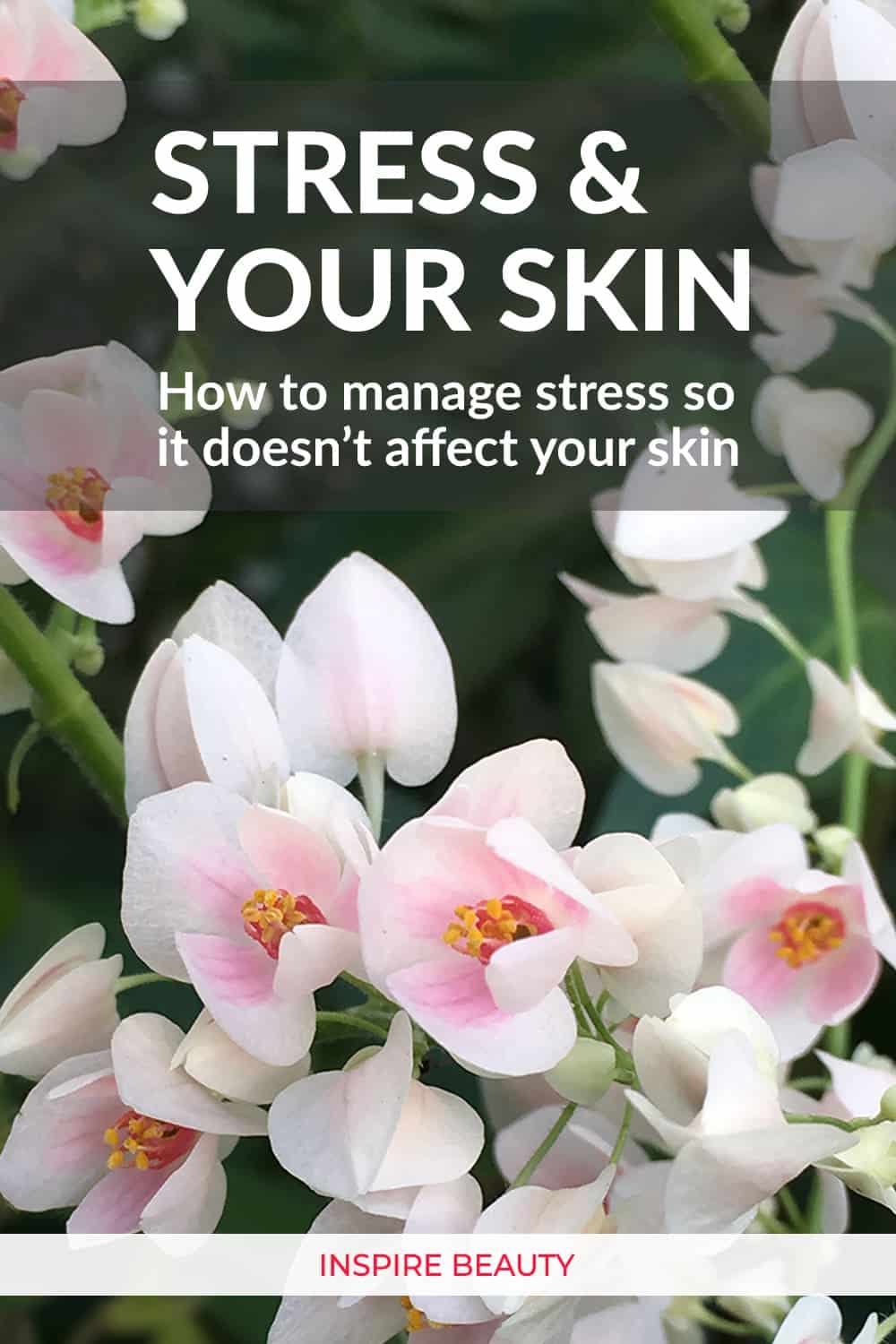5 tips to help manage stress so it doesn't affect your skin.
